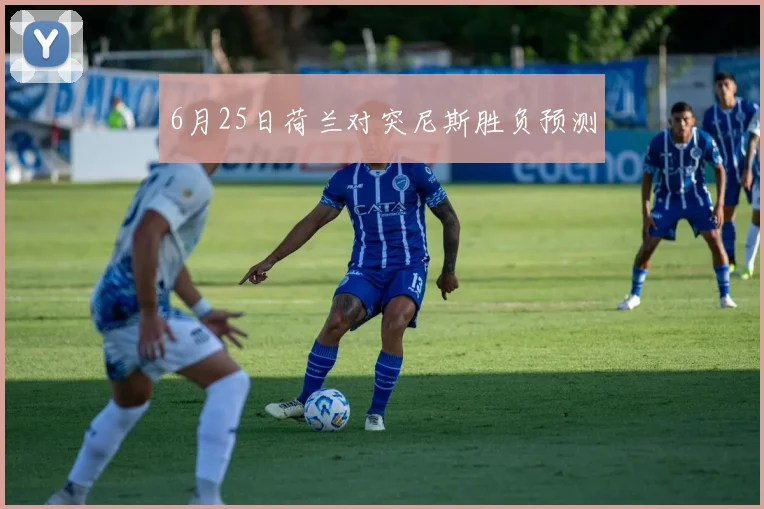 6月25日荷兰对突尼斯胜负预测