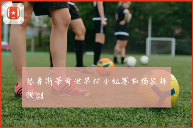 赫鲁斯蒂奇世界杯小组赛临场发挥预测