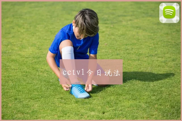 cctv1今日说法