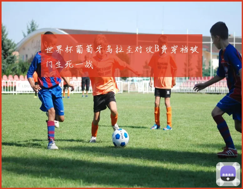 世界杯葡萄牙乌拉圭对攻B费穿裆破门生死一战