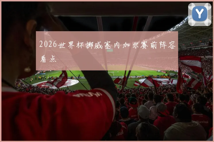 2026世界杯挪威塞内加尔赛前阵容看点