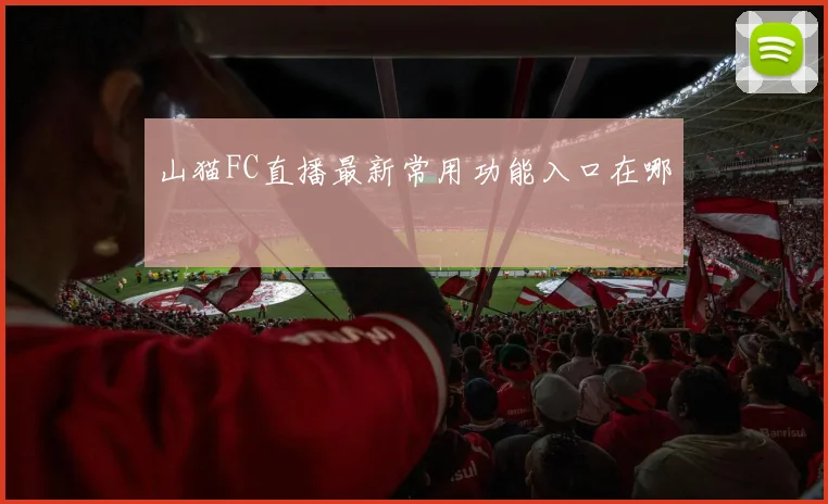 山猫FC直播最新常用功能入口在哪