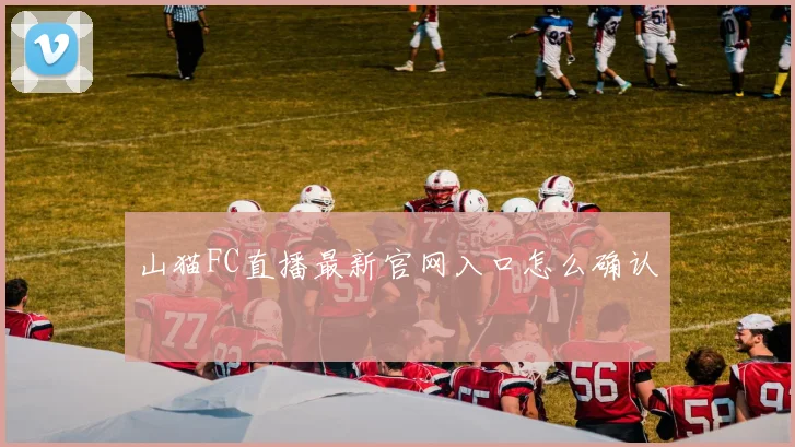 山猫FC直播最新官网入口怎么确认