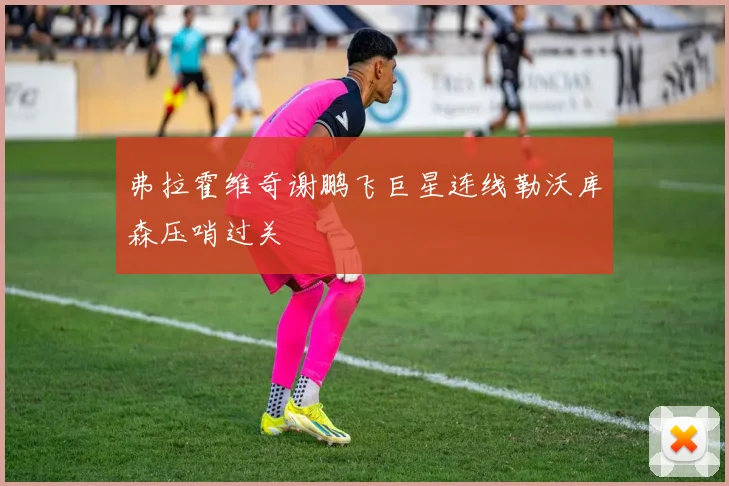 弗拉霍维奇谢鹏飞巨星连线勒沃库森压哨过关